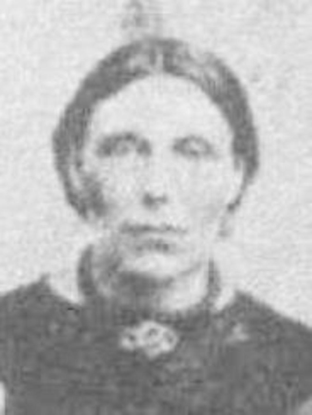 Jemima Adeline Perkins (1834 - 1869) Profile